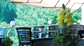 Hotel Cafe Waldeck - Image 2