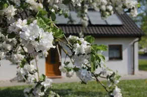 Gästehaus Apfelbaum - Image 2