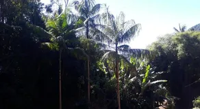 Fazenda do Pantanal - Image 4