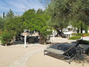 Los Mofletes - Image 5