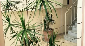 Lovely Apartments - Image 4