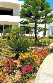 La Finca del Angel Hotel y Jardin de eventos - Image 5