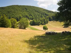 Holiday Home Margherita - Image 5