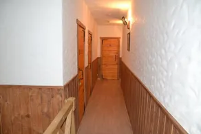ALėJOS ĄžUOLAS - Image 2