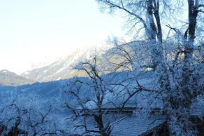 Haus Herz - Image 5