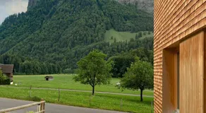 Ferienwohnung Schnepfau 24 - Image 4
