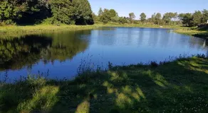 Himmerlands Fiskepark & Camping - Image 4