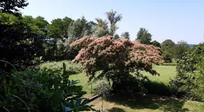 Cottage Lake Lisanza - Image 5