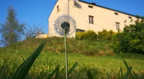 Casa a Pedra - Image 5