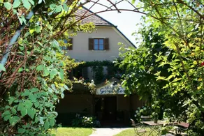 B&B Greiner - Image 2