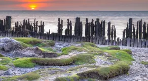 Wadsuper vakantiewoning Paesens Moddergat aan de Waddenzee - Image 2