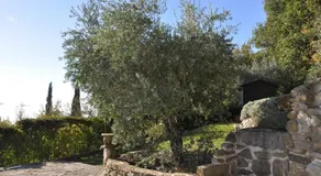 Villa Rosa - Image 3