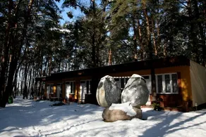 Osrodek Szkoleniowo-Wypoczynkowy Gwarek - Image 5