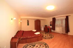 Vila Transilvania - Image 3