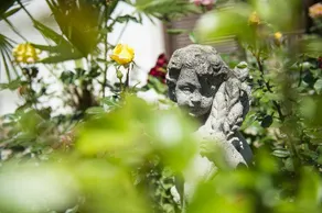 Pension Stamserhof - Image 5
