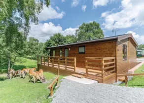 Silver Trees Holiday Park - Image 2
