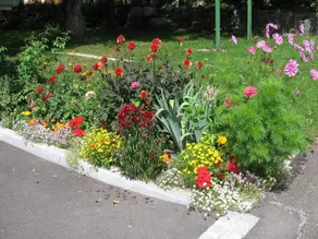 Gîte Plein Sud - Image 5