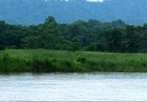 Kingfisher Jungle Resort - Image 3