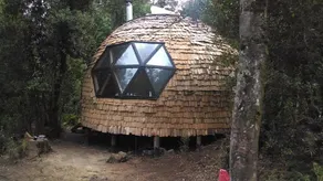 Domo del bosque - Image 3