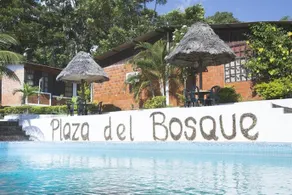 Hotel Plaza del Bosque - Image 3