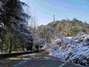 Yueshi Villa - Image 3