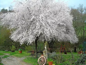 Locanda Delle Noci - Image 5