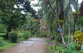 La Laguna del Lagarto Lodge - Image 5