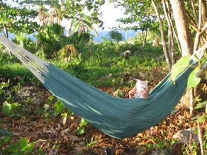 Real Jamaica - Image 5