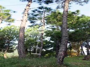 Moon Resorts - Image 4