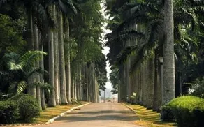 Devon Villas - Image 2