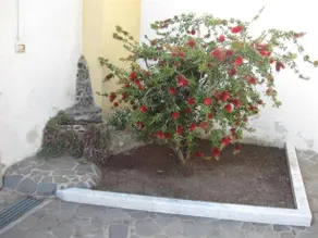 B&B Frore - Image 5