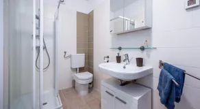 LAURA House with apartment - Image 4