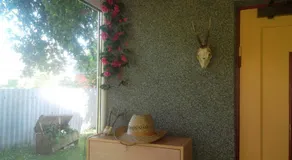 Alviine Guesthouse - Image 2
