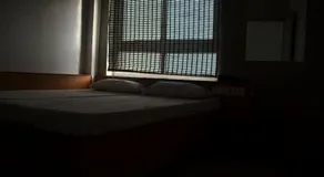 Hotel Catnap - Image 3