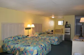 Palmetto Inn & Suites - Image 3