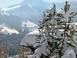 Le Chamois - INH 26485 - Image 5