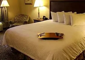 Hampton Inn & Suites Amarillo West - Image 2
