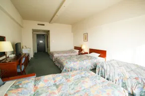 Tosa Royal Hotel - Image 5