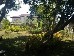 Bed and Breakfast and Beach Casa Azul - Image 5
