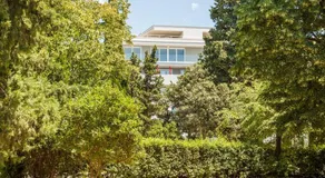 Harmony Trsat - Image 4