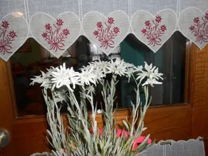 Albergo Genzianella - Image 3