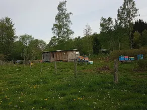 Chalet With Terrace in Sourbrodt - Image 2