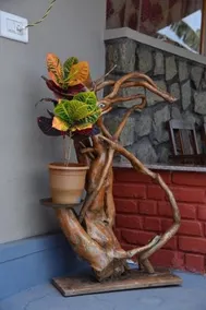 HILLWOODS COTTAGE HOMESTAY COORG(B&B) - Image 4