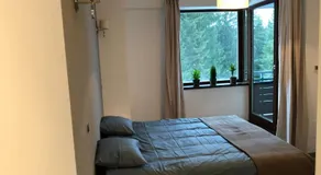 Silver Mountain Luxury Apartment A13 - Image 5