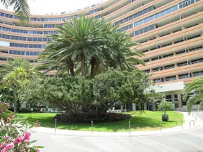 Residence Marazul del Sur - Image 5