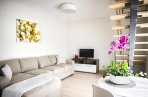 Home of Health and Beauty - Image 3