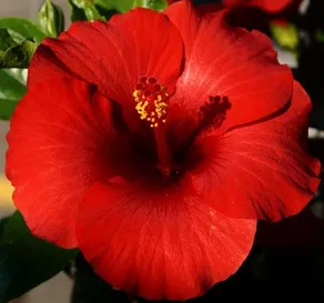 Hotel Bahnhof - Image 3