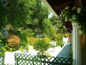 Olive Grove Studios - Image 5