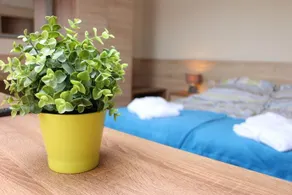 Oazis Apartmanhaz - Image 4