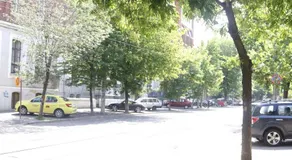 Friendy Studio - Image 4